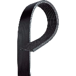 Order Courroie Serpentine by BLACKBELT - K060865 For Your Vehicle