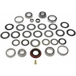 Order Differential Bearing by DORMAN (OE SOLUTIONS) - 697-119 For Your Vehicle