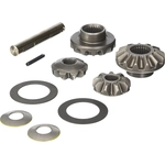 Order DANA SPICER - 2005962 - Differential Inner Gear Kit For Your Vehicle