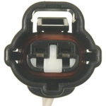 Order BWD AUTOMOTIVE - PT1174 - Alternator Connector For Your Vehicle