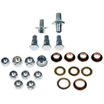 Order DORMAN - 38458 - Door Hinge Pin And Bushing Kit For Your Vehicle