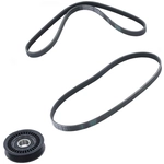 Order CONTINENTAL - ADK0005P - Serpentine Belt For Your Vehicle