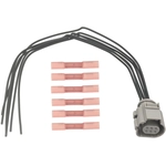 Order BLUE STREAK (HYGRADE MOTOR) - S2488 - HVAC Blower Motor Resistor Connector For Your Vehicle