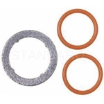 Order EGR Valve Gasket by BLUE STREAK (HYGRADE MOTOR) - VG169 For Your Vehicle