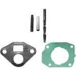 Purchase EGR Valve Repair Kit by DORMAN (OE SOLUTIONS) - 917-401