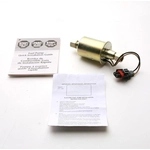 Purchase Electric Fuel Pump by DELPHI - HFP955