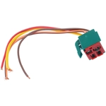 Order BWD AUTOMOTIVE - PT5685 - HVAC Relay Connector For Your Vehicle