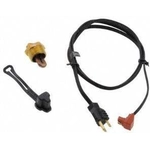 Order PHILLIPS & TEMRO - 3100003 - Engine Block Heater For Your Vehicle