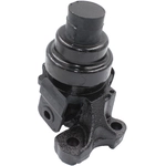 Order Engine Mount Front Left by WESTAR INDUSTRIES - EM8404 For Your Vehicle