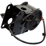 Order Support moteur arrière by WESTAR INDUSTRIES - EM5818 For Your Vehicle