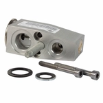 Order Valve d'expension by MOTORCRAFT - YG838 For Your Vehicle