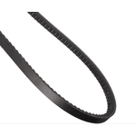 Order CONTINENTAL - 15366 - Accessory Drive Belt - Automotive V- Belt For Your Vehicle