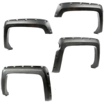 Order Fender Flare Hardware Or Kit by RUGGED RIDGE - 81630.21 For Your Vehicle