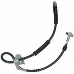 Order RAYBESTOS - BH380295 - Flexible de frein avant For Your Vehicle