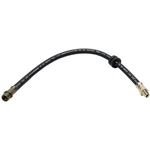 Order Flexible de frein avant by RAYBESTOS - BH380538 For Your Vehicle