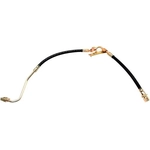 Purchase RAYBESTOS - BH380979 - Front Brake Hose