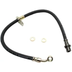 Purchase RAYBESTOS - BH381466 - Front Brake Hose