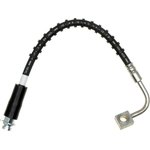 Order RAYBESTOS - BH382519 - Flexible de frein avant For Your Vehicle