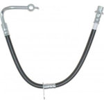 Order Flexible de frein avant by RAYBESTOS - BH382881 For Your Vehicle