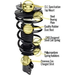 Order UNITY AUTOMOTIVE - 11771 - Front Complete Strut Assembly For Your Vehicle