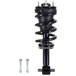 Order WORLDPARTS STRUTS - W1336333 - Assemblage de jambe de force avant complet For Your Vehicle