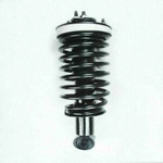 Order Front Complete Strut Assembly by WORLDPARTS STRUTS - W1336343 For Your Vehicle