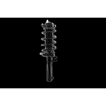 Order WORLDPARTS STRUTS - W5335576 - Assemblage de jambe de force avant complet For Your Vehicle