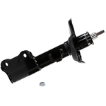 Order MONROE/EXPERT SERIES - 73072 - Jambe de force avant OESpectrum For Your Vehicle