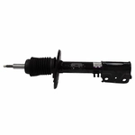 Order Jambe de force avant by MOTORCRAFT - AST12296 For Your Vehicle