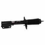 Order Jambe de force avant by MOTORCRAFT - AST12298 For Your Vehicle