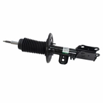 Order Jambe de force avant by MOTORCRAFT - AST12322 For Your Vehicle