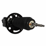 Order Jambe de force avant by MOTORCRAFT - AST12328 For Your Vehicle