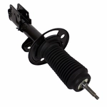 Order Jambe de force avant by MOTORCRAFT - AST12344 For Your Vehicle