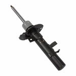 Order Jambe de force avant by MOTORCRAFT - AST24655 For Your Vehicle