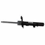 Order Jambe de force avant by MOTORCRAFT - AST24657 For Your Vehicle