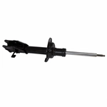 Order Front Strut by MOTORCRAFT - AST913 For Your Vehicle