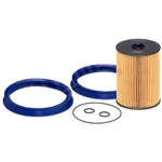 Order HENGST FILTER - E489KP-D461 - Fuel Filter For Your Vehicle