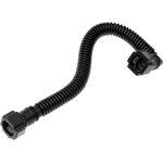 Order DORMAN - 800-855 - Fuel Line Assembly For Your Vehicle