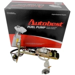 Order Ensemble de pompe à essence by AUTOBEST - F1207A For Your Vehicle