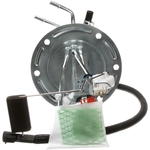 Order Fuel Pump Hanger Assembly by DELPHI - HP10081 For Your Vehicle