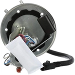 Order Fuel Pump Hanger Assembly by DELPHI - HP10089 For Your Vehicle