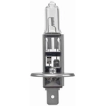 Order HELLA - H1 24V - Halogen Bulb For Your Vehicle