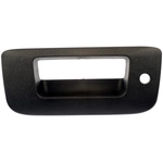 Order DORMAN - 80122 - Tailgate Poignée Lunette For Your Vehicle