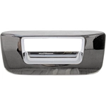 Order DORMAN - 91125 - Tailgate Poignée Lunette For Your Vehicle