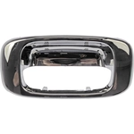 Order DORMAN - 91134 - Tailgate Poignée Lunette For Your Vehicle