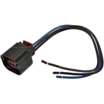 Order BLUE STREAK (HYGRADE MOTOR) - HP4740 - Connecteur lumière de plafonnier For Your Vehicle