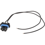 Order BLUE STREAK (HYGRADE MOTOR) - S524 - Connecteur lumière de plafonnier For Your Vehicle