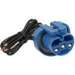 Order BLUE STREAK (HYGRADE MOTOR) - S525 - Connecteur lumière de plafonnier For Your Vehicle