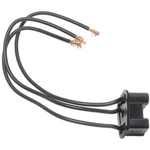 Order BLUE STREAK (HYGRADE MOTOR) - S844 - Connecteur lumière de plafonnier For Your Vehicle