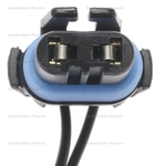 Order Connecteur lumière de plafonnier by BLUE STREAK (HYGRADE MOTOR) - HP3970 For Your Vehicle